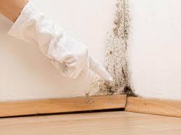 Best Residential Mold Inspection & Testing in Clton, IN